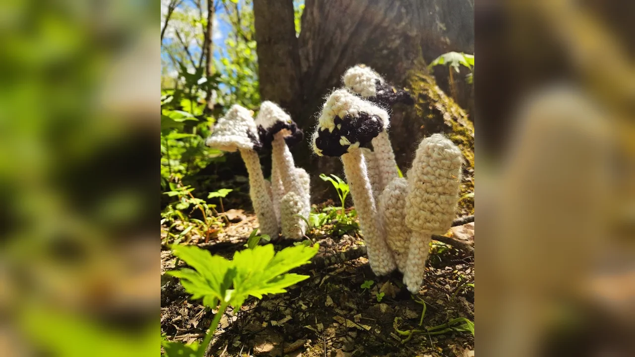 Lydia Hansen's Crocheted Mushroom Trail Turns Hiking Into an Artful Nature Quest