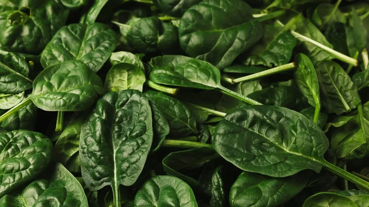 Keto-Friendly Vegetables: 20 Low-Carb Picks for a Balanced Plate