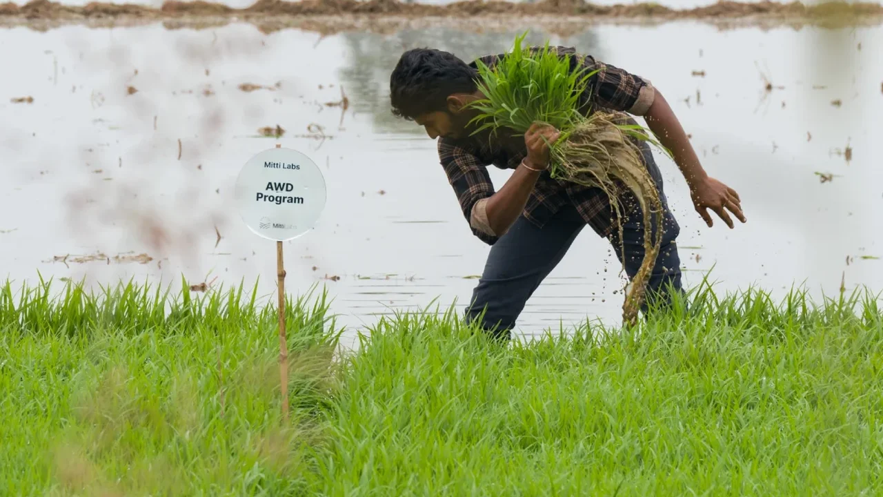 Mitti Labs Raises $9.5 Million to Bring AI-Driven Water Savings to Rice Farming