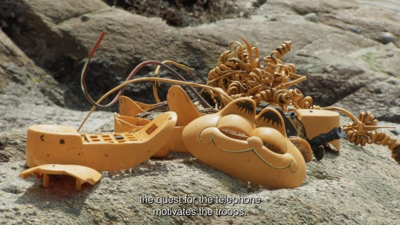 France's Garfield Beach Mystery Inspires a New Short Film