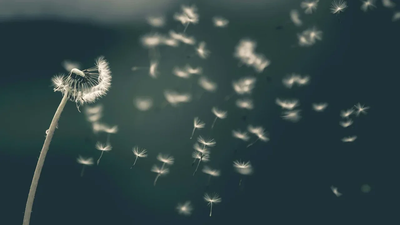 8 Scientific Studies That Quietly Point to the Future