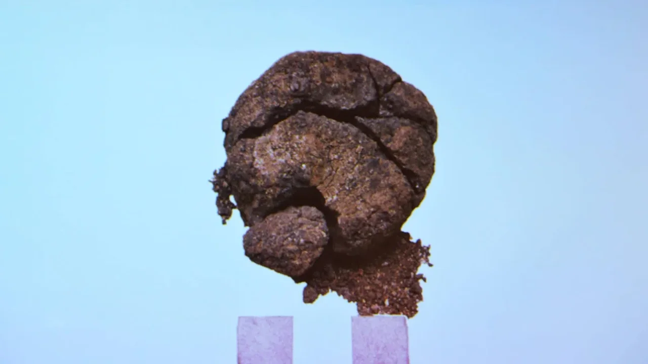 Turkey Discovery Points to 8,600-Year-Old Bread at Çatalhöyük