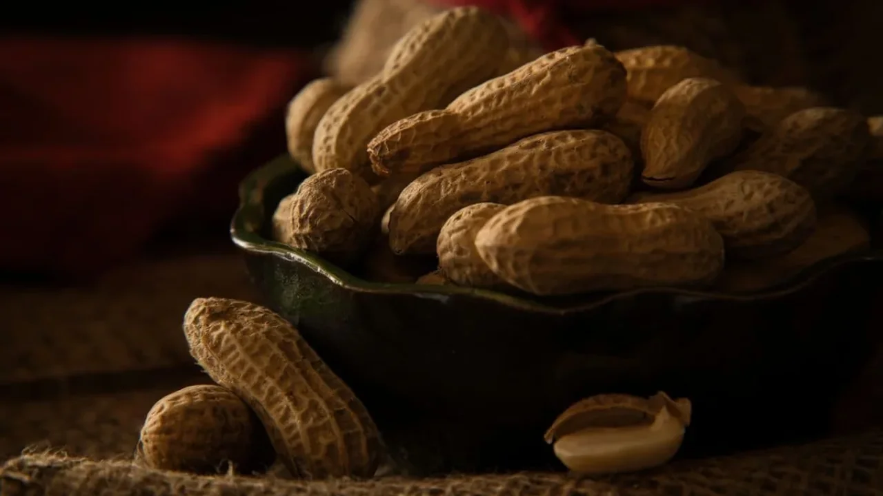Fecal Microbe Capsules Show Early Promise in Peanut Allergy Research