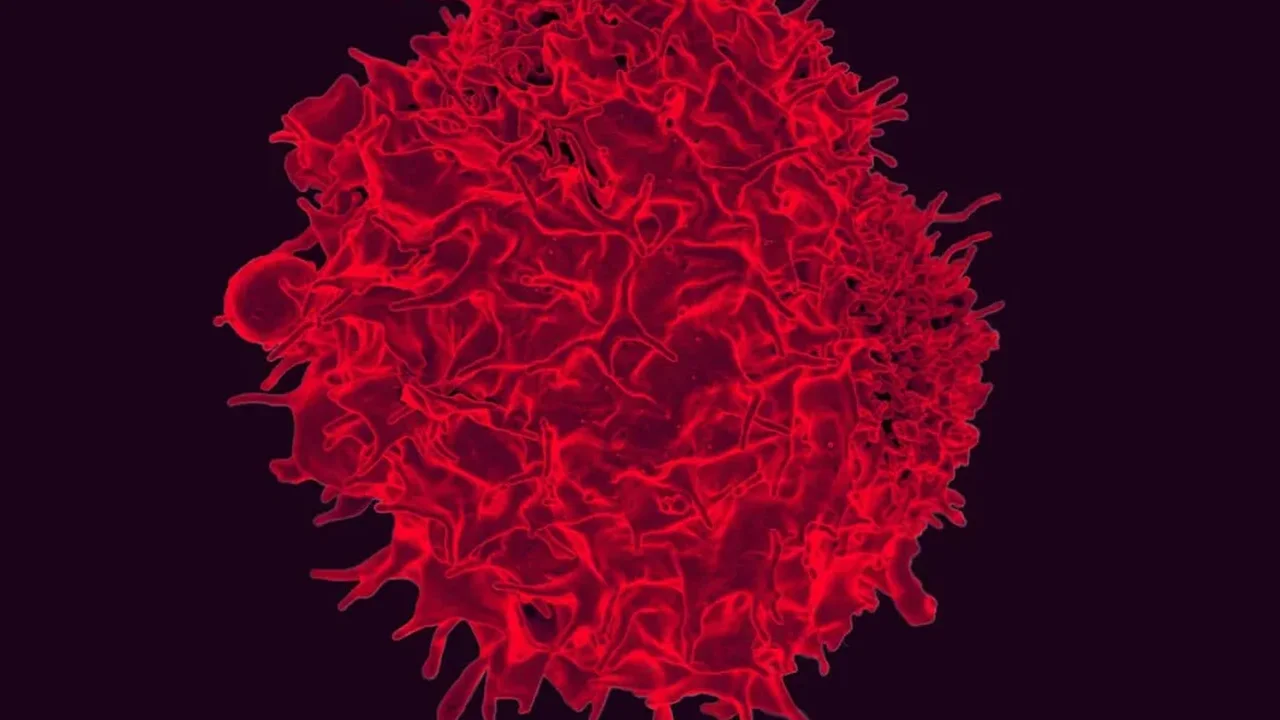 AI-Designed Viruses Mark a New Milestone in Synthetic Biology