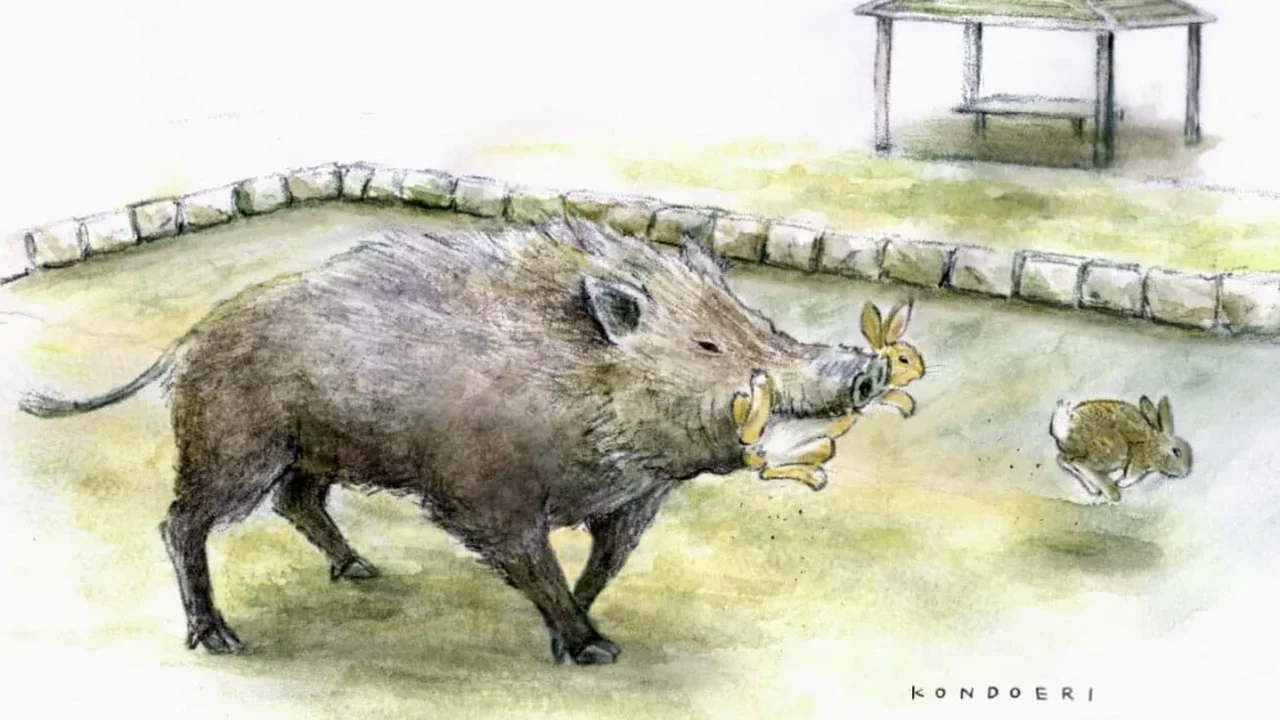 Japan's Bunny Island Faces a New Ecological Twist