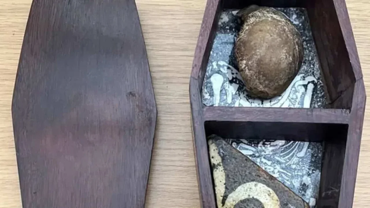Glastonbury Abbey's Returned Kneecap Reveals a Curious Journey Across Decades