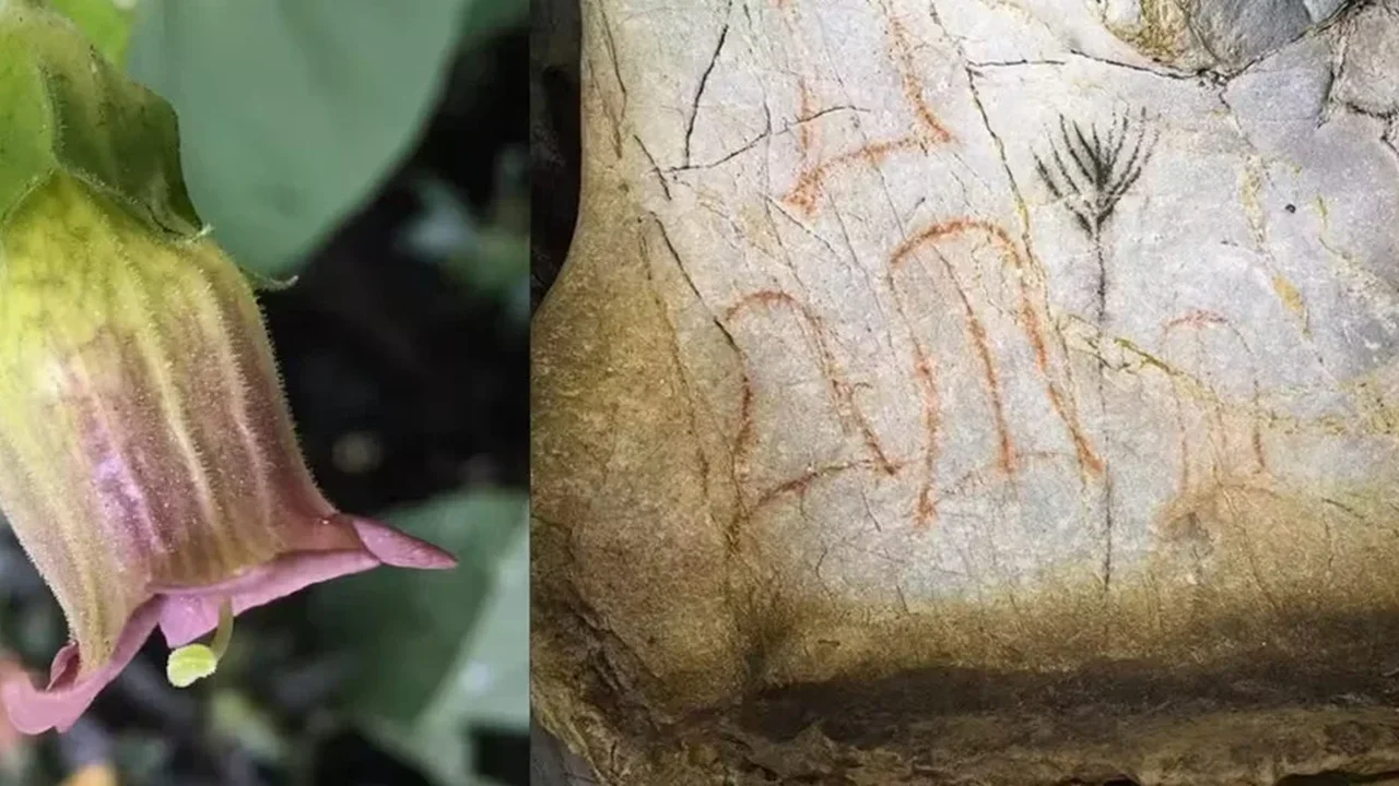 Could This Ice Age Cave Symbol Be the Oldest Known Image of a Mind-Altering Plant?