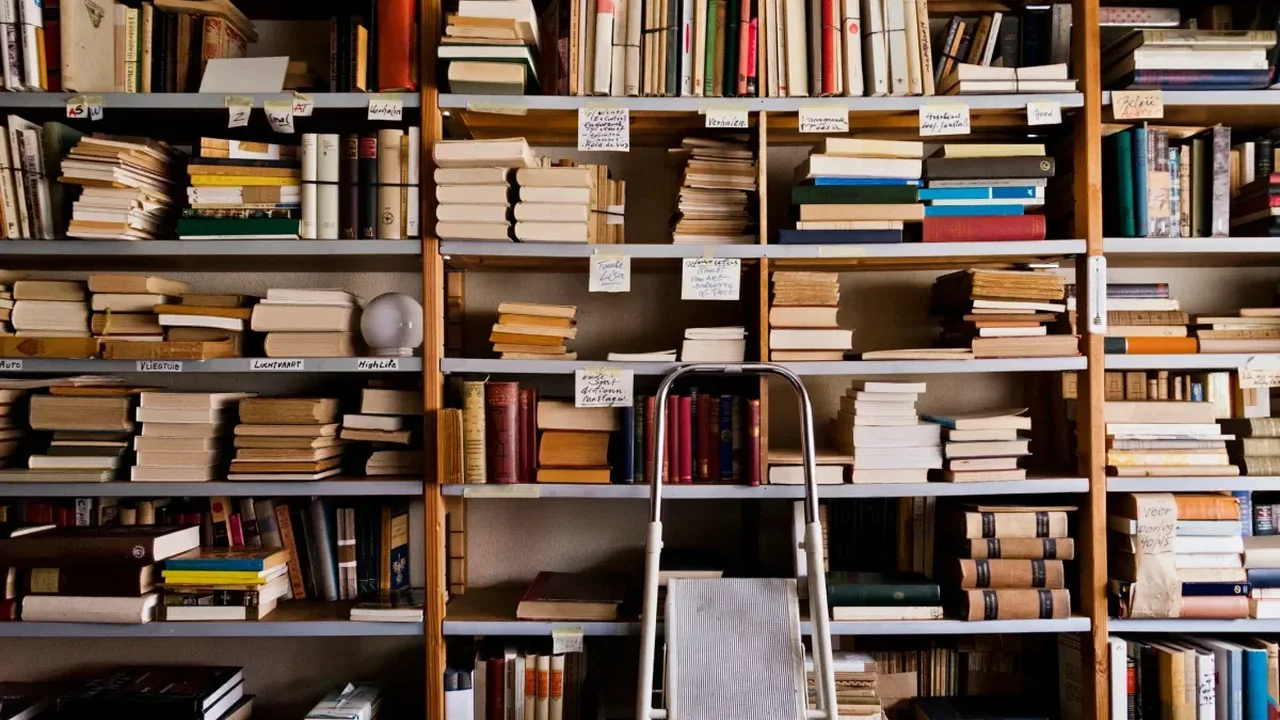 Amazon's Rare Book Scans Highlight a New Phase in AI Training