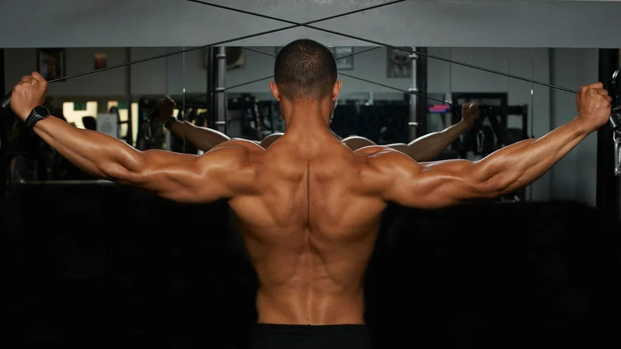 Back Training: How Many Exercises Are Enough for Better Development?
