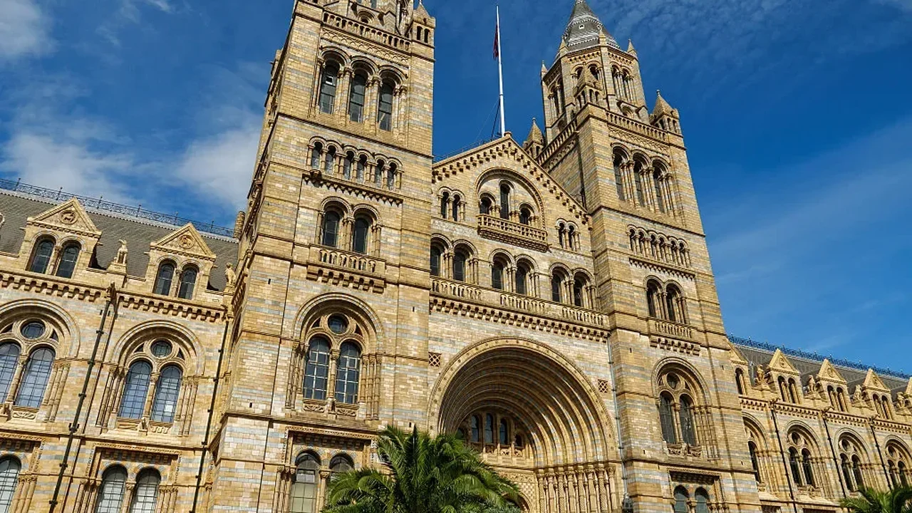 London's Natural History Museum Revives a Hidden Gallery, While Vienna Prepares a Newly Attributed Bernini