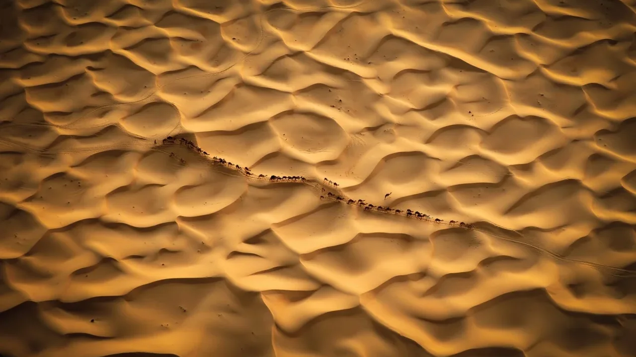 Björn Persson's New Book Puts Endangered Wildlife in Focus