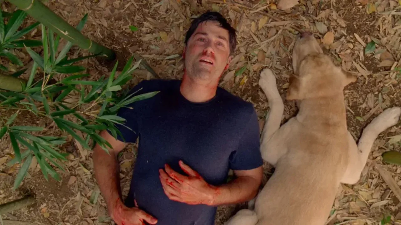 If You Loved Lost, These Films Capture Its Mystery-Driven Spirit