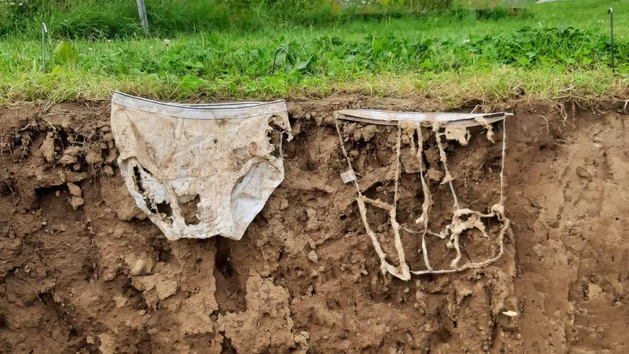 Swiss Citizen Science Project Uses Cotton Underwear to Map Soil Activity