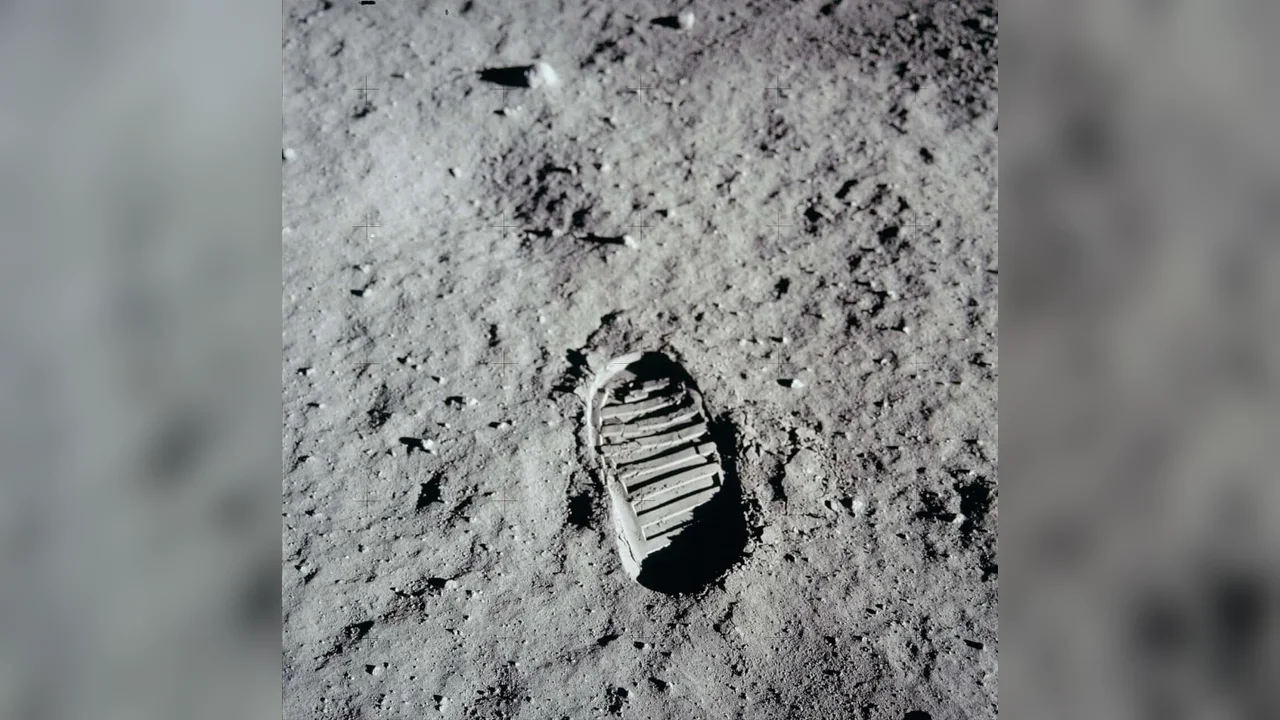 Moon's Polar Shadows May Let Earth Microbes Persist Longer Than Expected