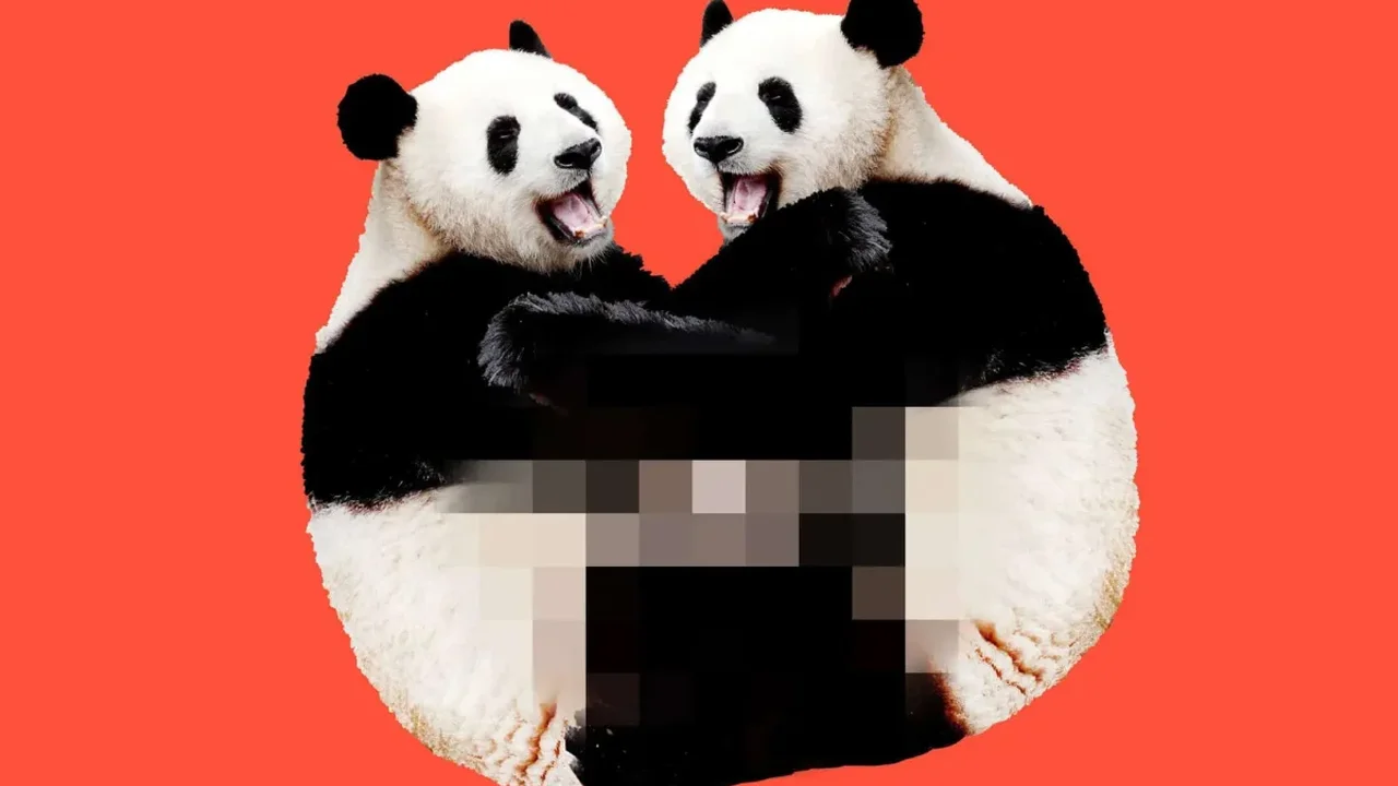 Panda Breeding May Be Linked to Gut Microbes, Study Suggests