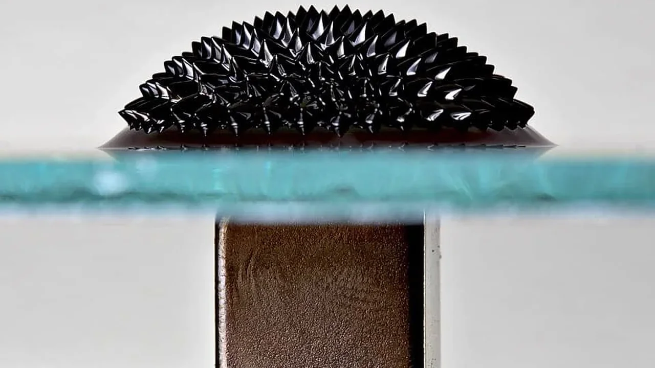 17-Year-Old Innovator Builds AI Robot That Targets Plastic with Magnetism
