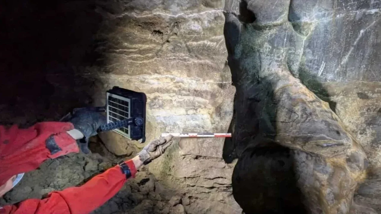 Ireland's Cave Art Discovery May Rewrite the Timeline of Early Human Presence