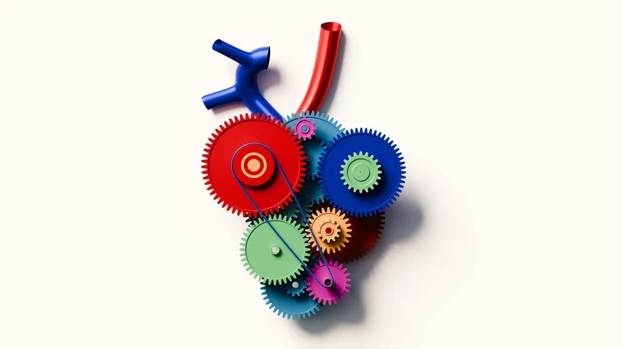 Why Discipline Alone Doesn't Equal Better Health