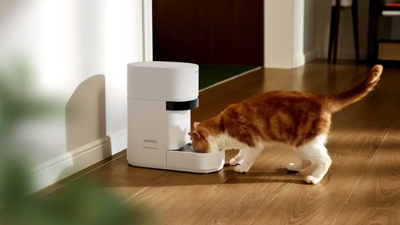 Petlibro Granary 2 Brings AI-Powered Precision to Multi-Cat Feeding