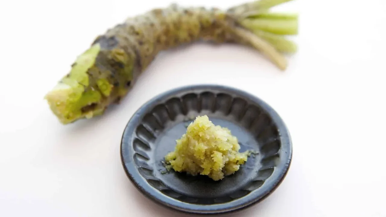 Wasabi Compound Enters Human Trials for Tooth Tissue Regeneration