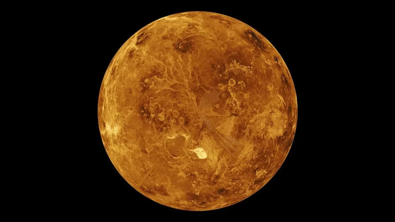 Venus's Sulfuric Acid Clouds Reveal New Possibilities for Complex Chemistry