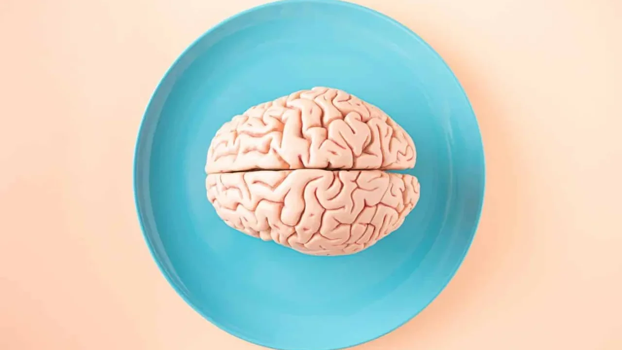 Human Brain May Have Formed From Two Ancient Developmental Systems