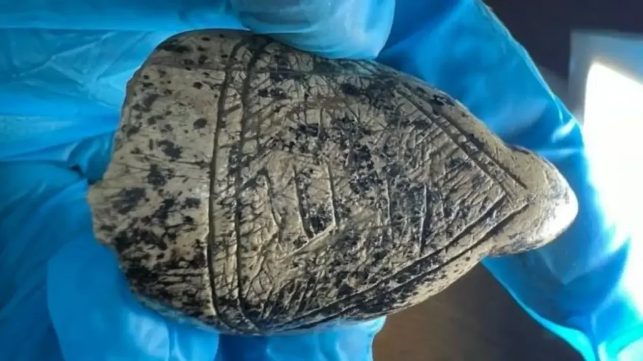 Ice Age Artists Shaped Mammoth Ivory Figurines Around Nature's Hidden Patterns