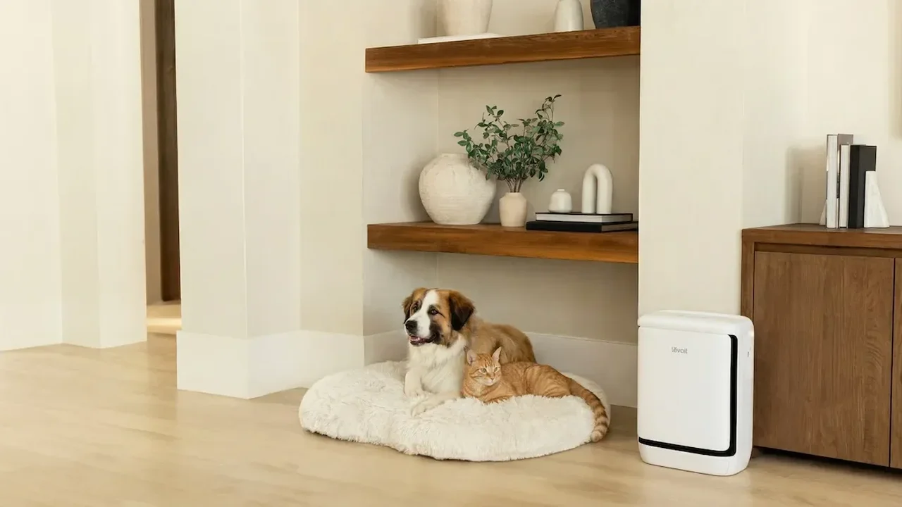 Levoit Vital Pet Pro Brings Smarter Air Care to Pet-Friendly Homes