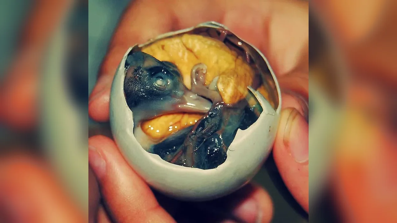 Eight Remarkable Foods That Reflect Global Culinary Traditions