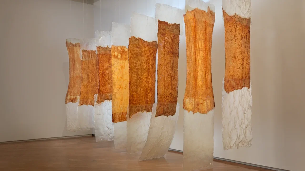 MoMA to Revisit Eva Hesse's Experimental Legacy in Major 2027 Exhibition