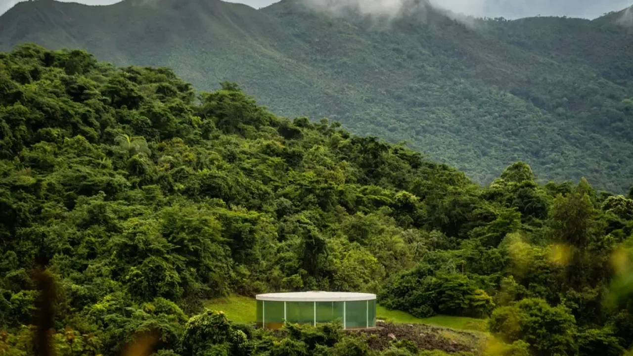 Inhotim Celebrates 20 Years With a New Global Vision for Art and Nature