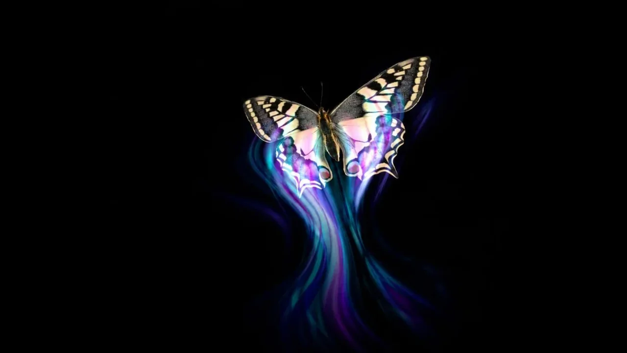 Butterfly Wing Patterns May Create Motion Illusions That Confuse Birds