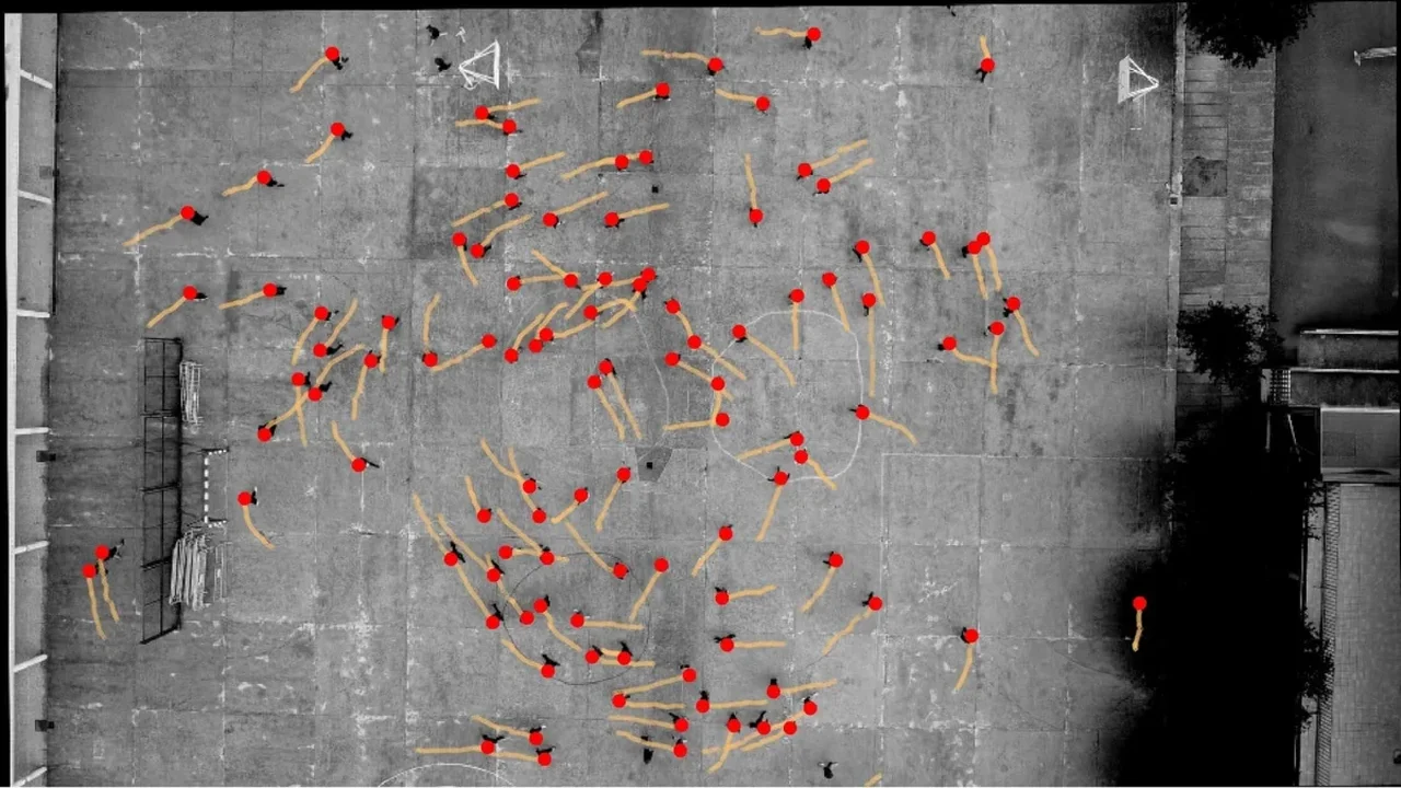 Why Do Pedestrians So Often Drift Counterclockwise?