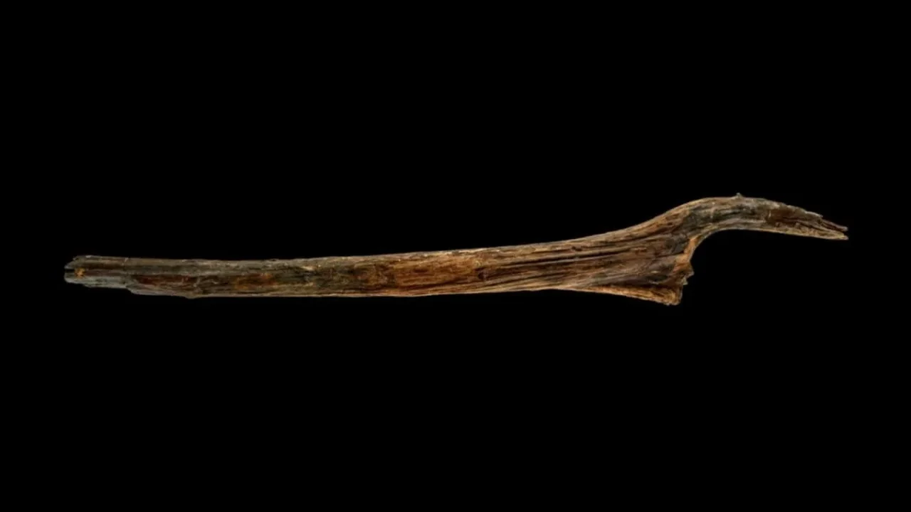 10,500-Year-Old Wooden Structure Emerges From Germany's Lake Arendsee
