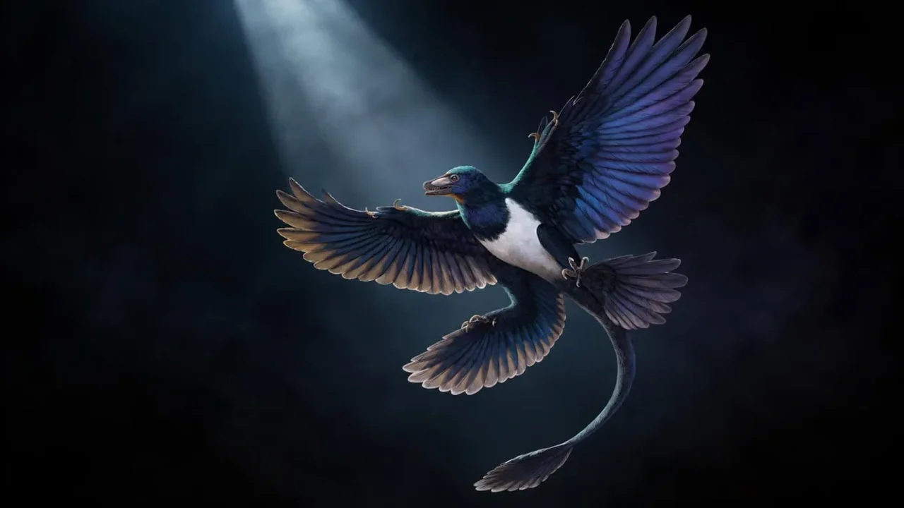 China's Four-Winged Dinosaur Suggests Flight Evolved Along More Than One Path
