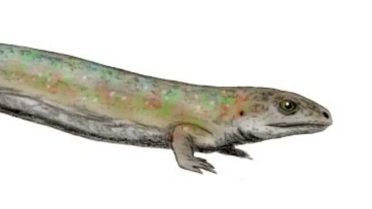 Ancient "Lizzie" Fossil Redraws the Early Story of Life on Land
