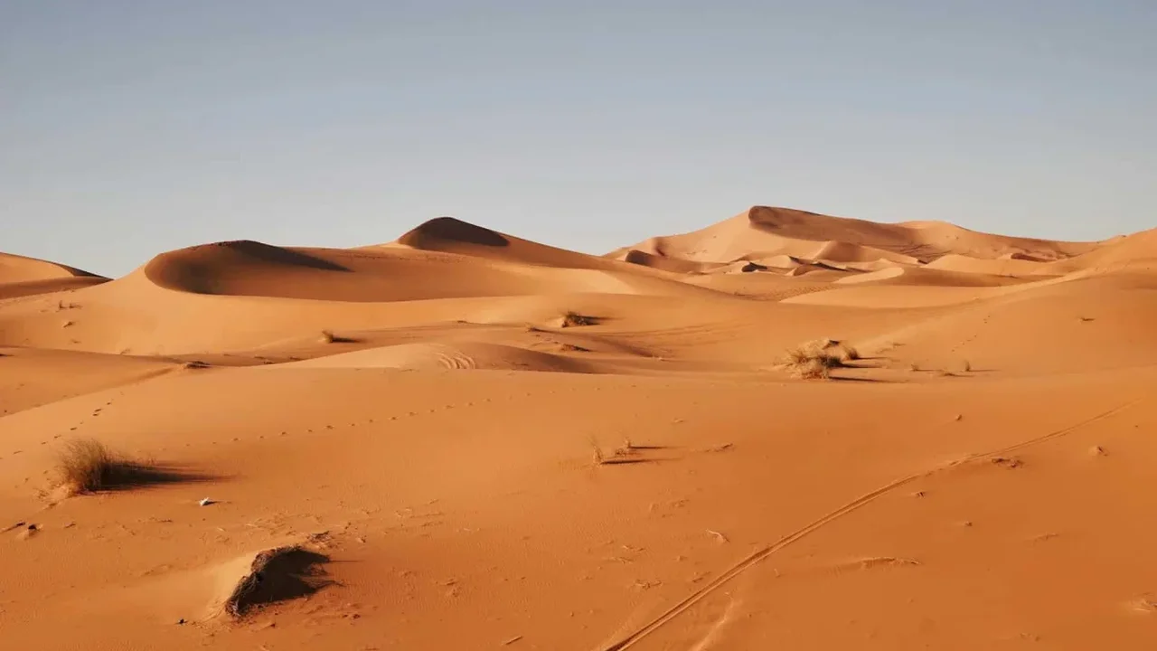 Egypt's Western Desert Uncovers a 70-Million-Year-Old Shark Ecosystem