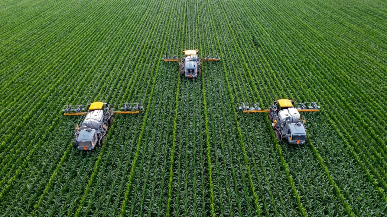 Modern Crops May Deliver Fewer Minerals, Putting Nutritional Quality in Focus