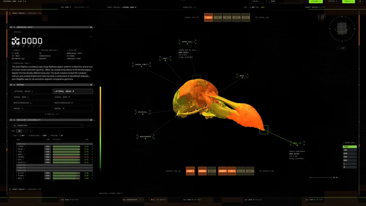 AI Platform Maps New Genetic Paths Toward Dodo-Inspired Birds