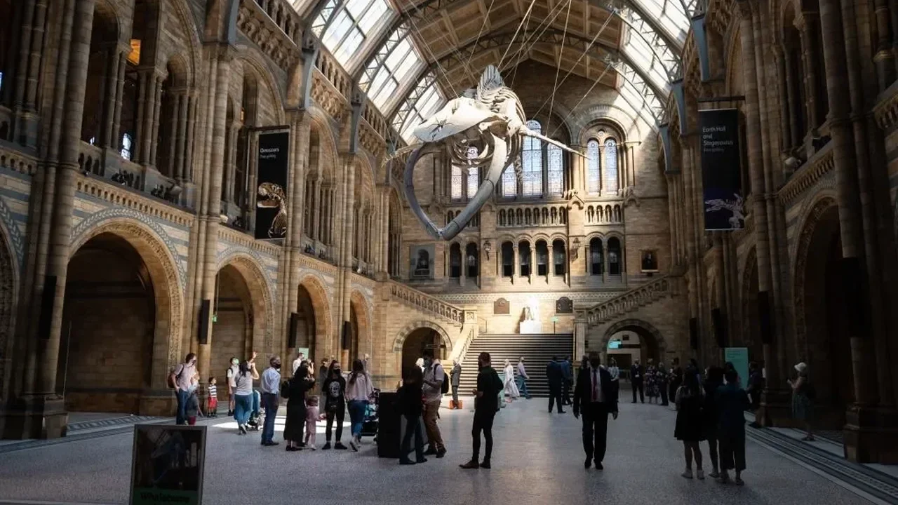 Century-Old Fossil Reveals a New Dinosaur Species in Europe