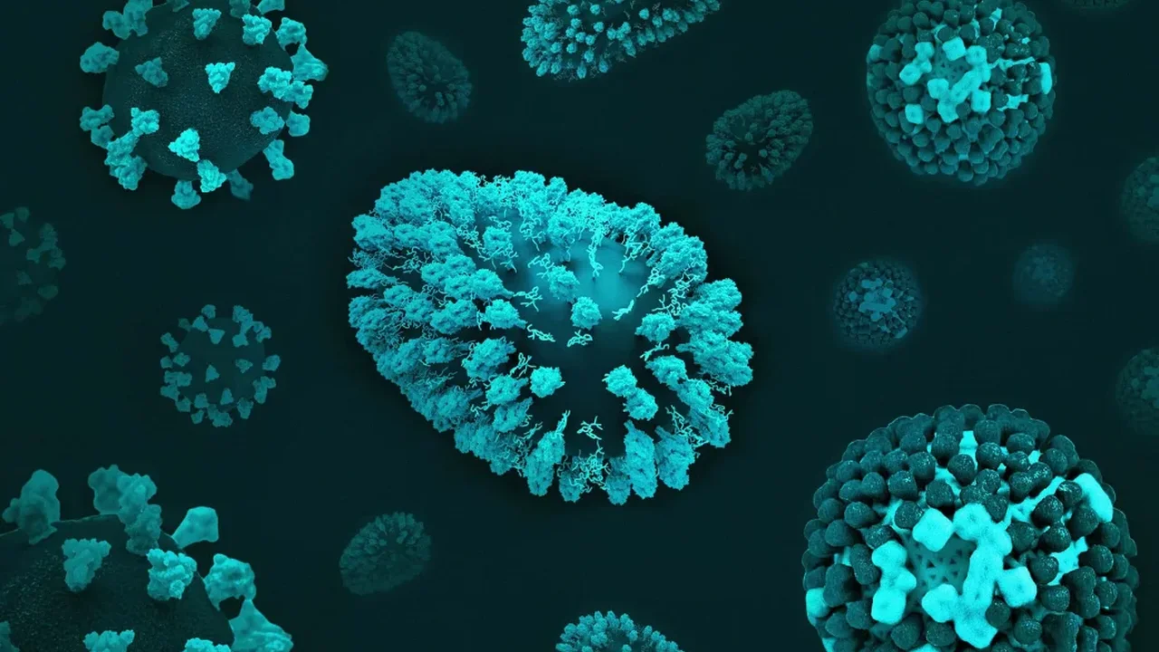 WHO Study Links 12% of Global Cancer Cases to Infections