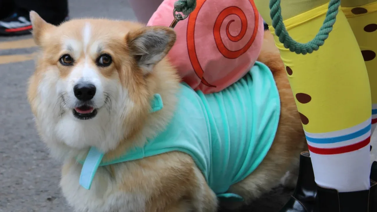 Costumed Canines Take Over New York's East Village