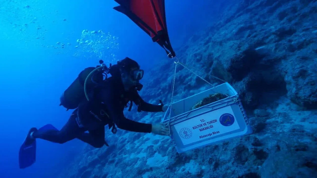 Ancient Jars off Turkey Could Point to a 4,500-Year-Old Shipwreck