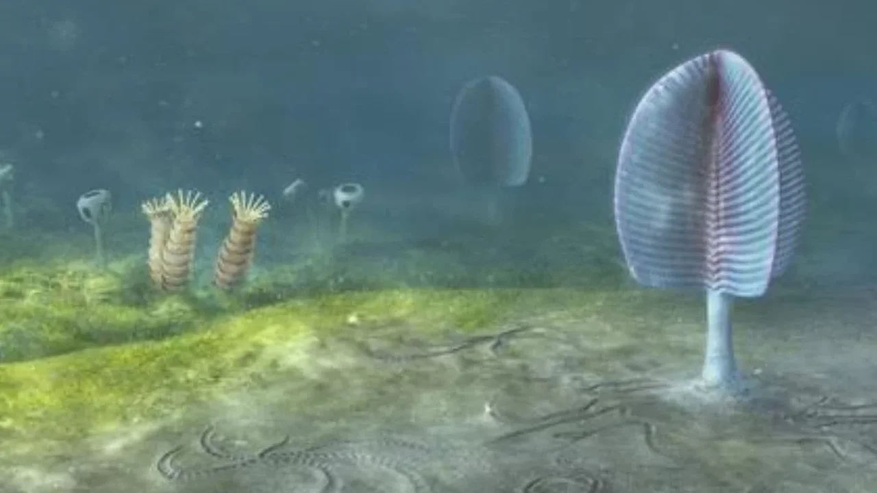 Animal Origins May Date Back 800 Million Years