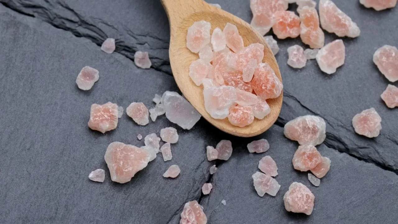 A Mushroom Peptide Made Salt Taste 70% Stronger in Early Tests