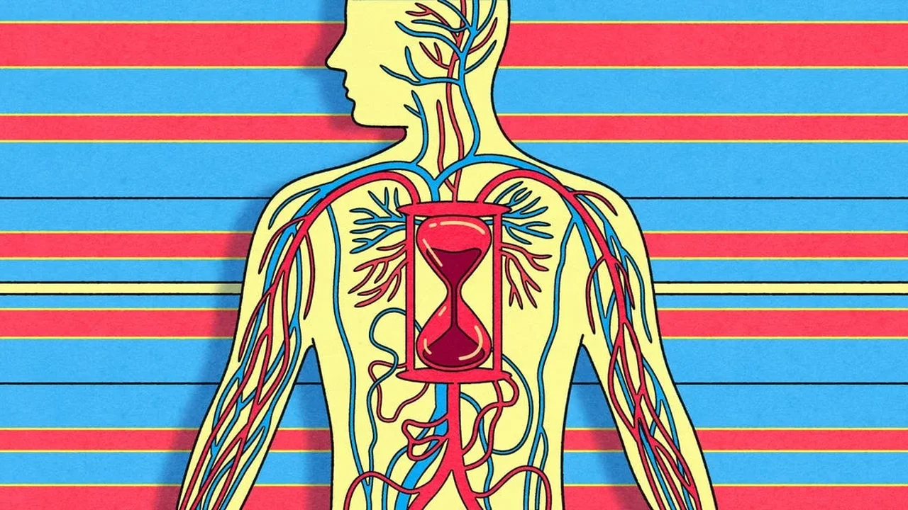 When the Pursuit of Longevity Becomes a Life-Consuming Routine