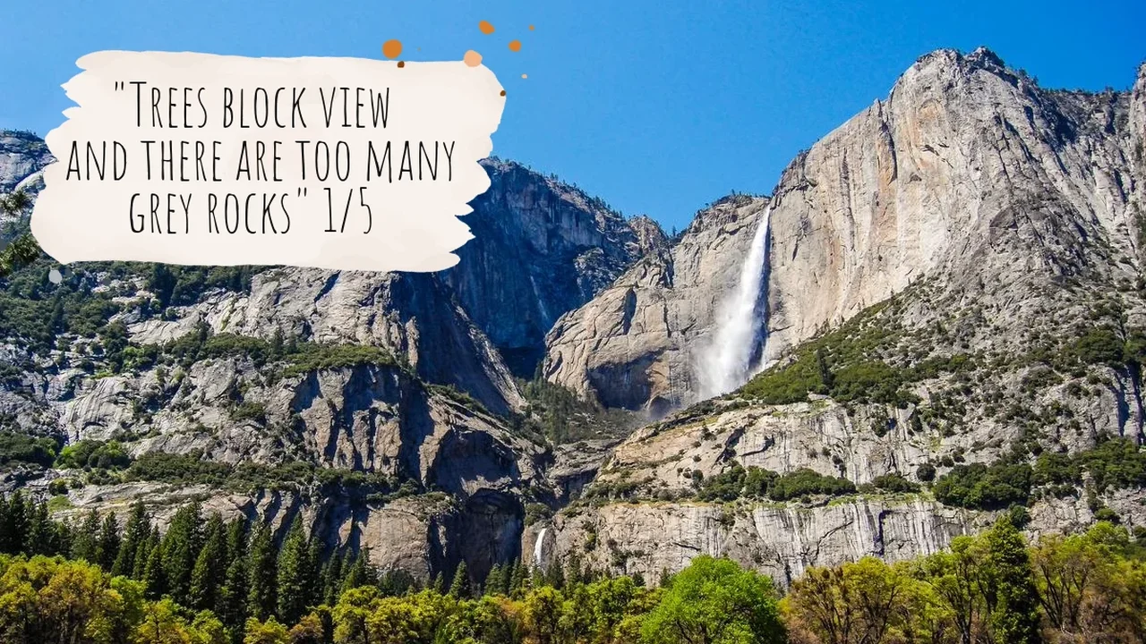 Too Many Trees? America's National Parks Get the One-Star Treatment