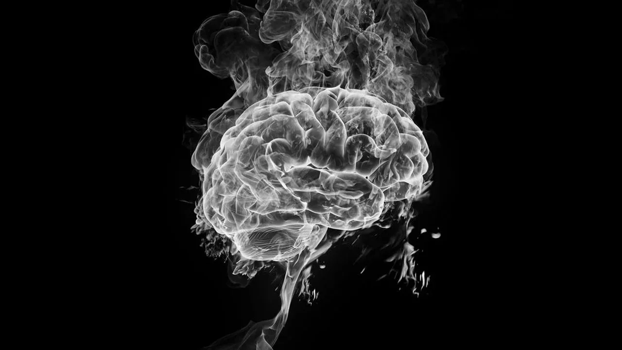 How THC Interacts With the Brain: Memory, Mood and More