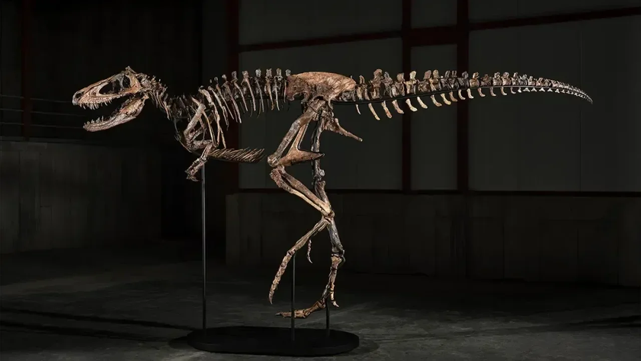 'Jodi' Dinosaur Fossil Fetches $47.3 Million at Sotheby's