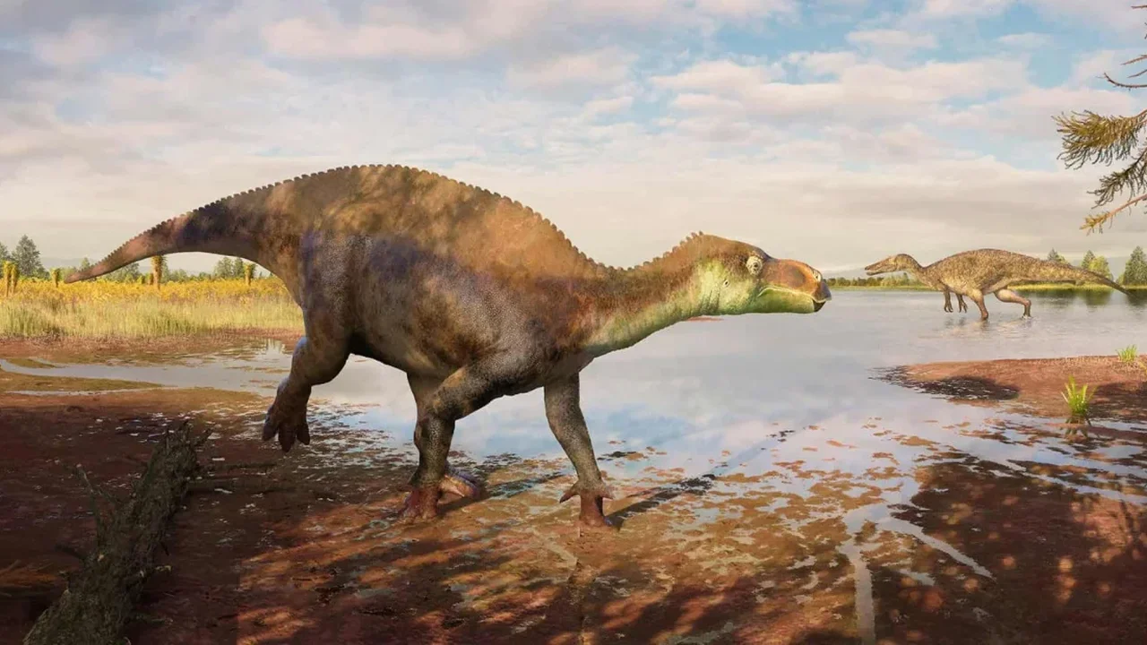 A Dinosaur Species Hidden in a London Museum Collection for 25 Years